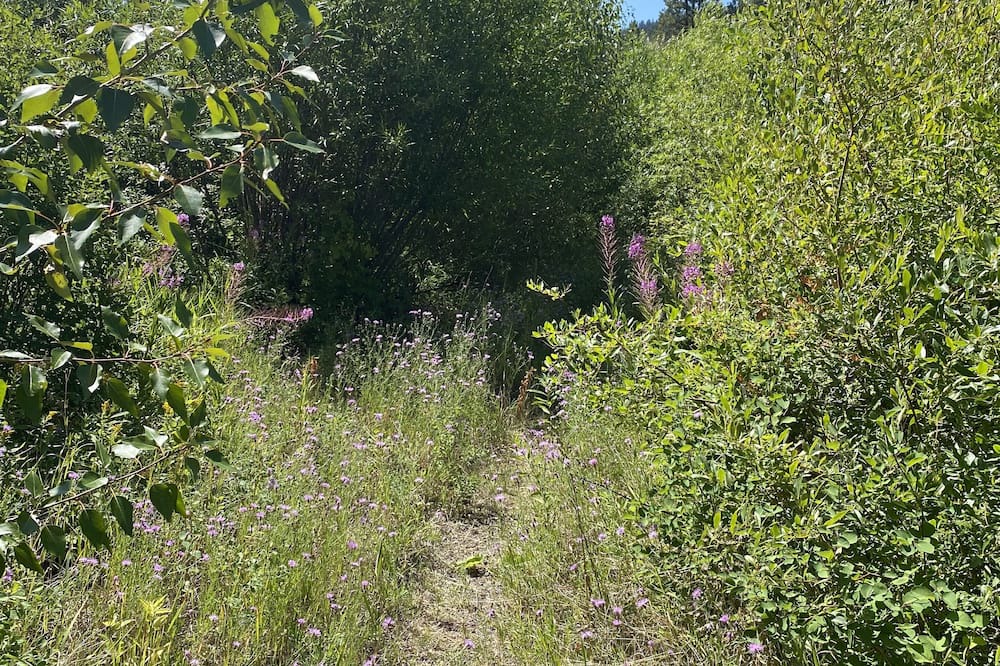 Photo of Outdoor in Merritt