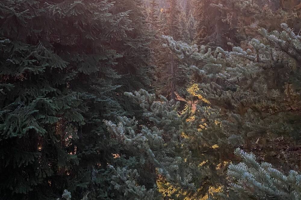 Photo of Outdoor in Merritt