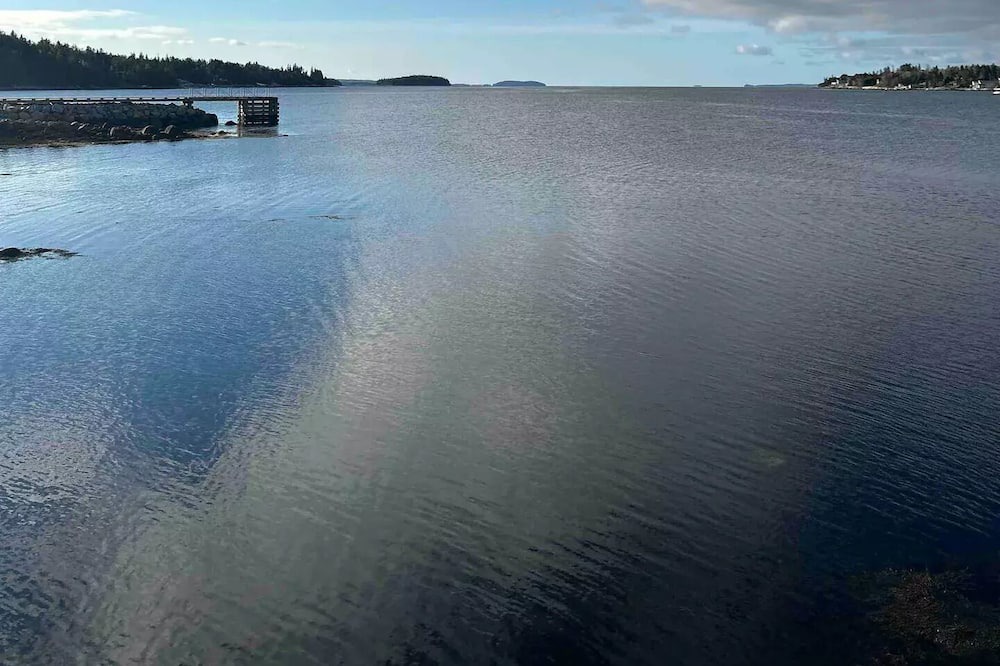 Photo of Others in Boutiliers Point