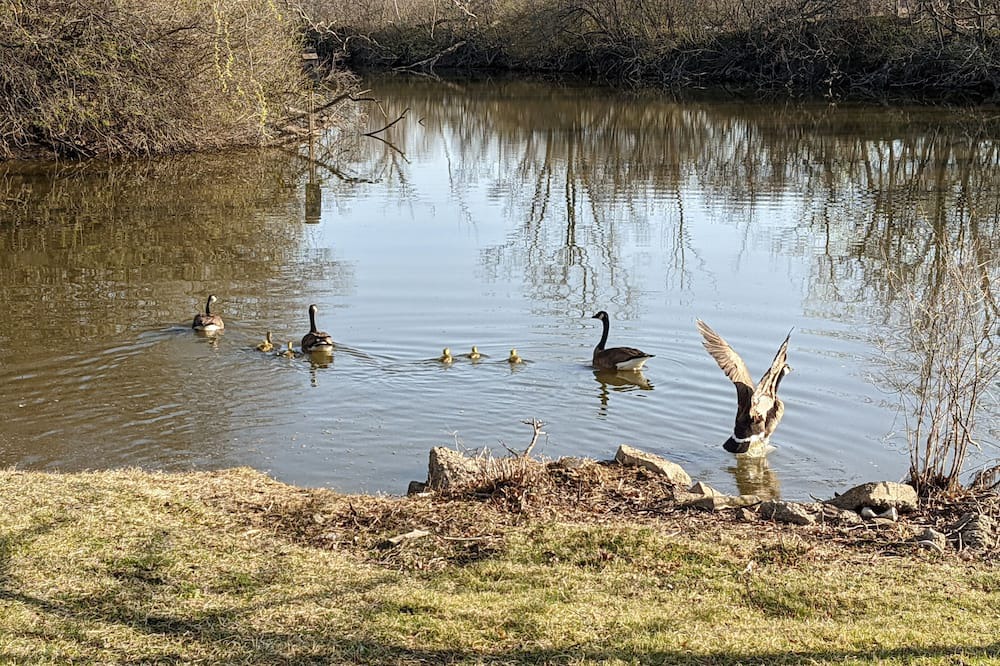 Photo of Others in Amherstburg
