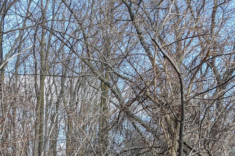Photo of Outdoor in Amherstburg