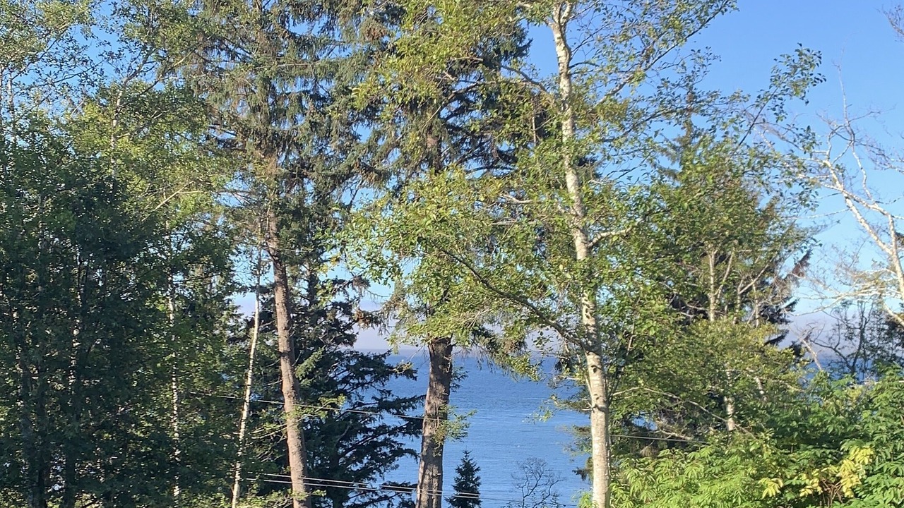 Photo of Outdoor in Juan de Fuca Electoral Area