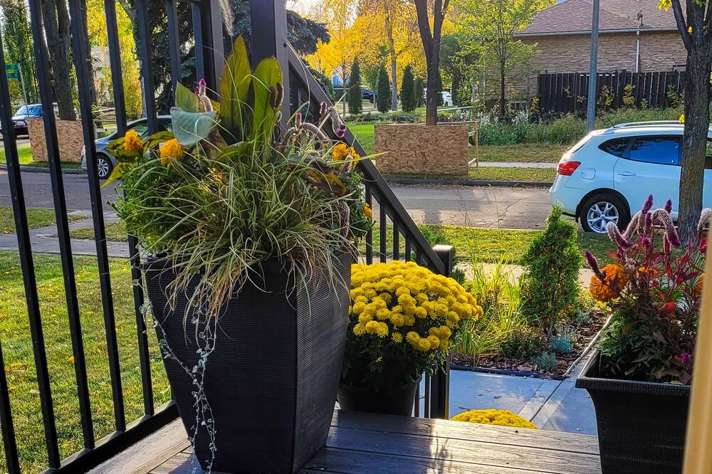 Photo of Outdoor in Old Strathcona