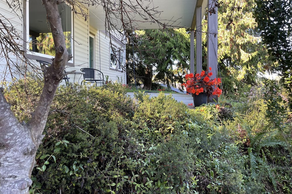 Photo of Outdoor in Ladysmith