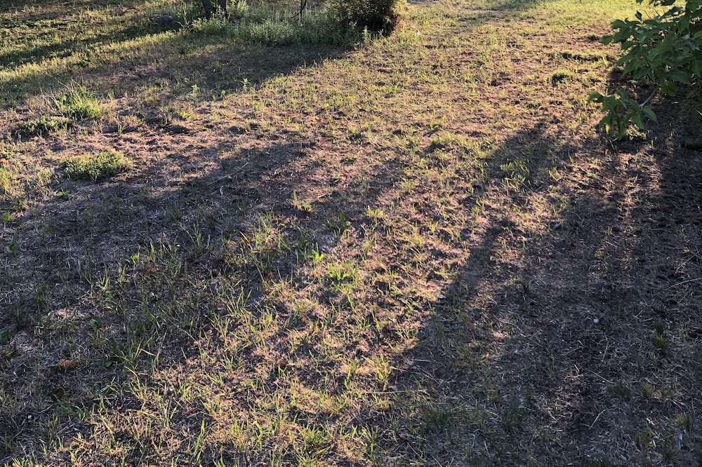 Photo of Outdoor in Victoria Beach