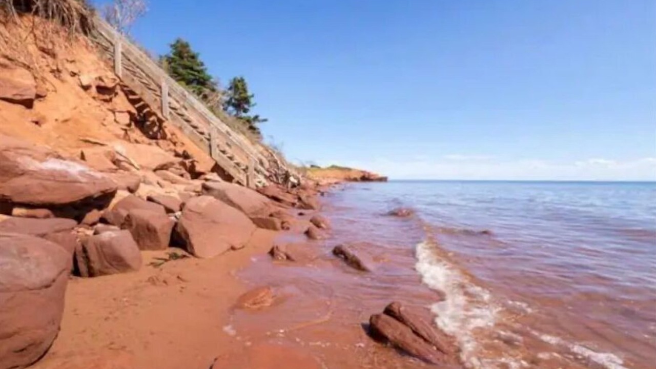 Photo of Others in Canoe Cove