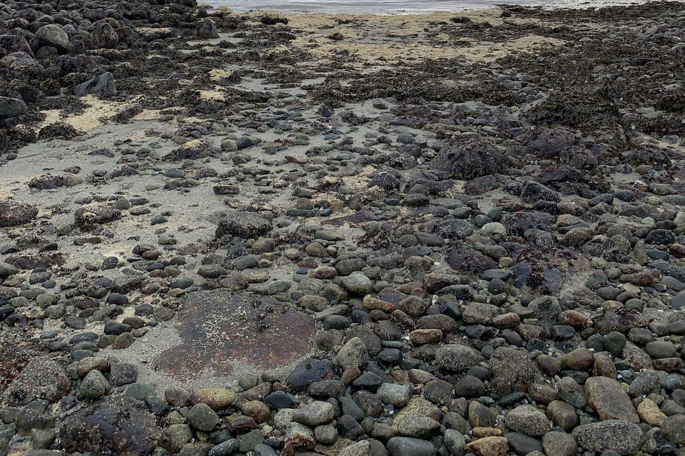 Photo of Others in Powell River