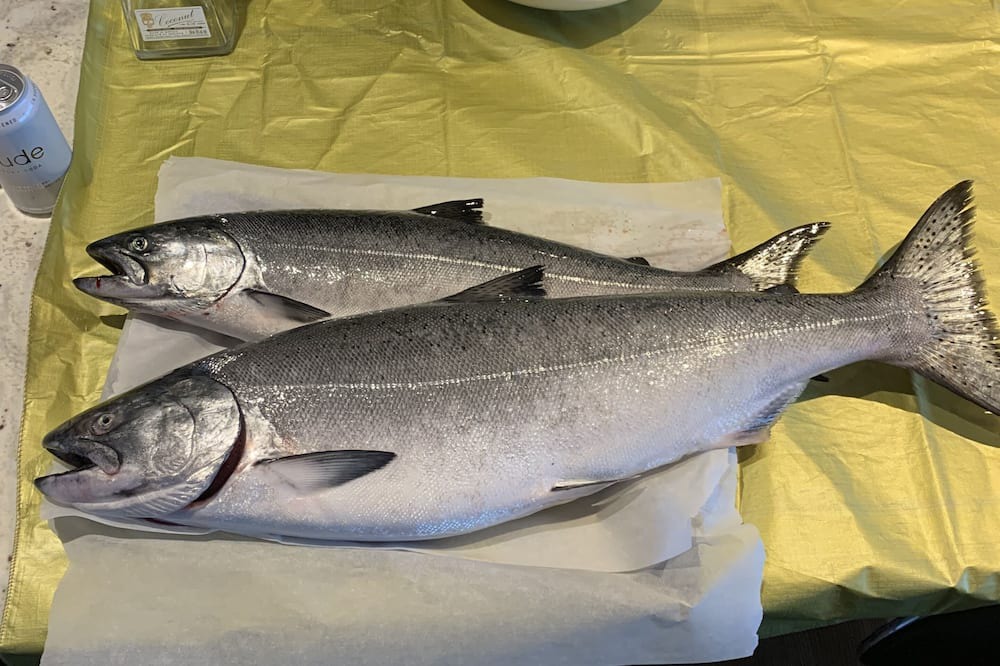 Photo of Others in Powell River