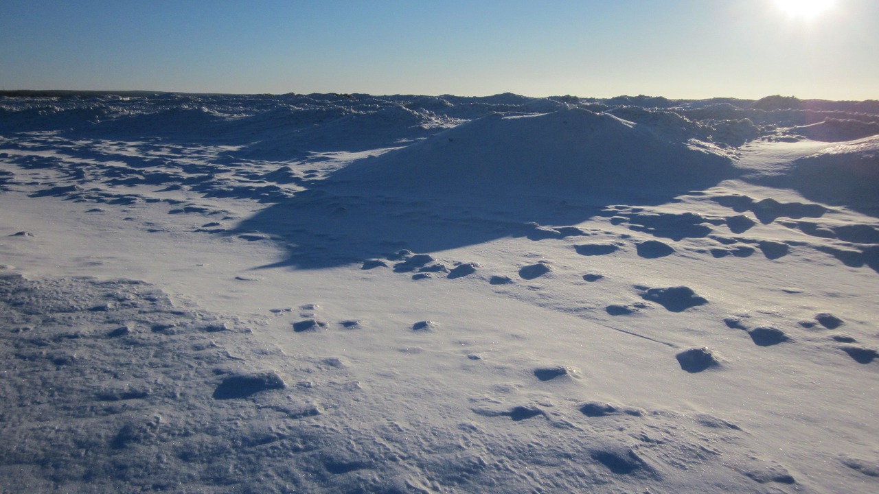 Photo of Others in Sauble Beach