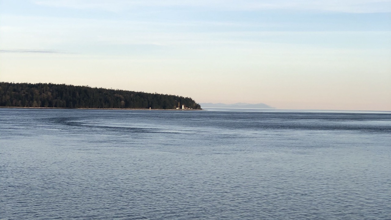 Photo of Others in Campbell River