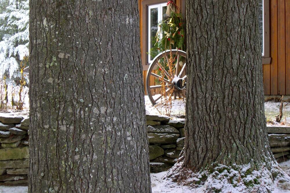 Photo of Bedroom in Rawdon