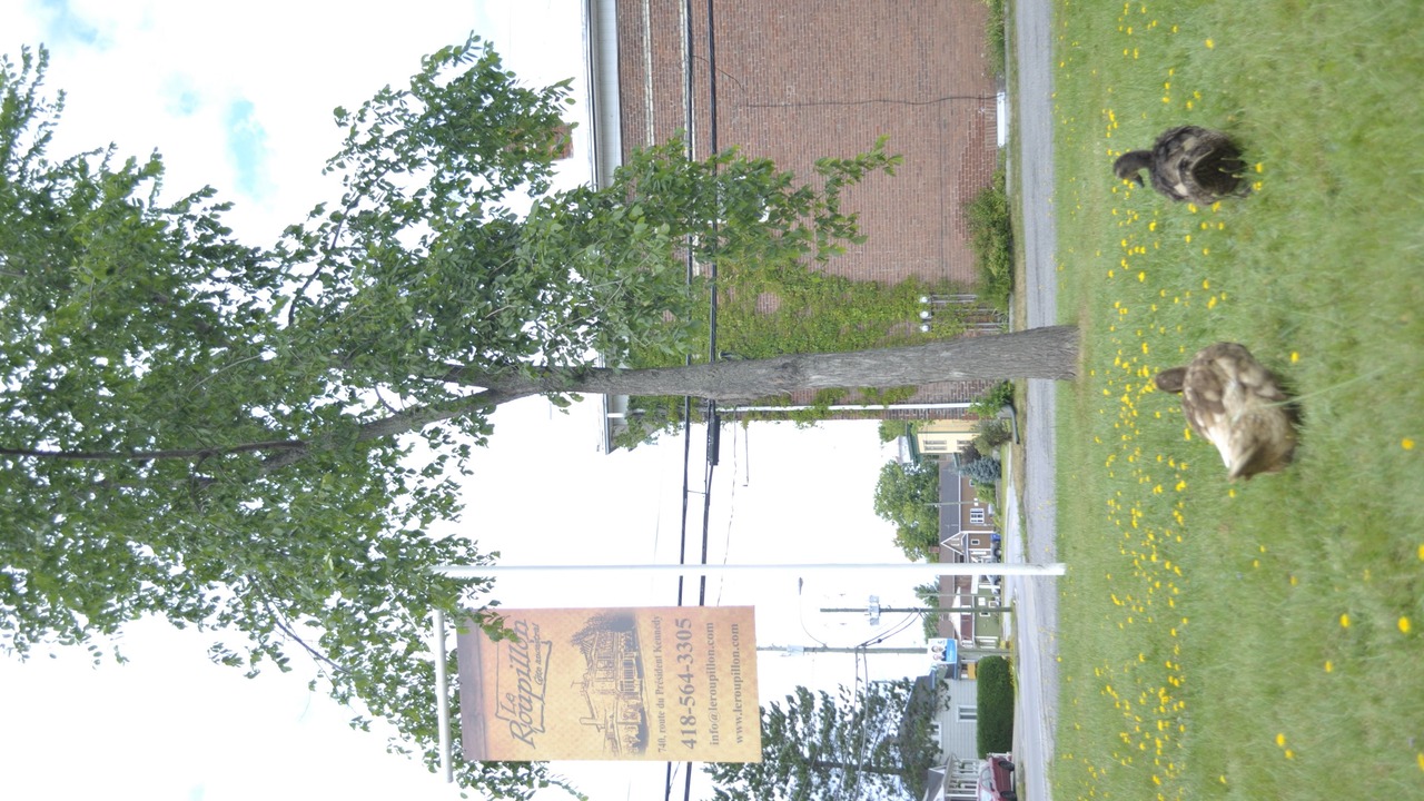 Photo of Outdoor in Scott