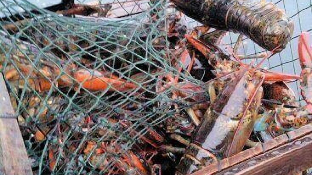 Photo of Others in Pleasant Bay