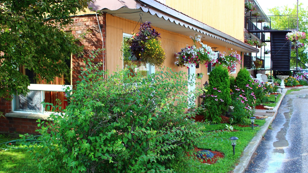 Photo of Outdoor in Manitoulin District