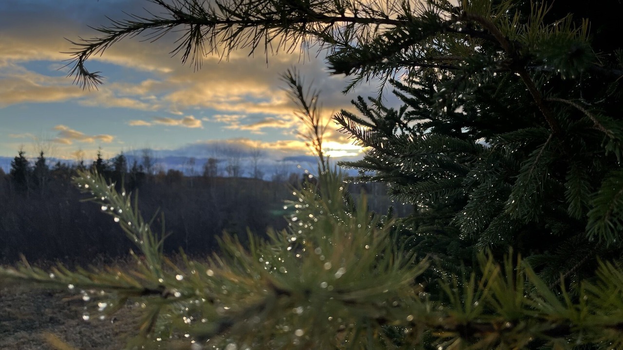 Photo of Outdoor in Saint Hilarion