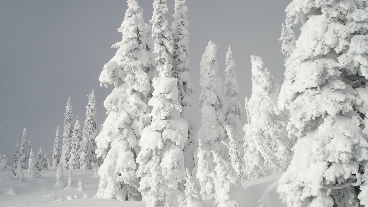 Photo of Outdoor in Blue River