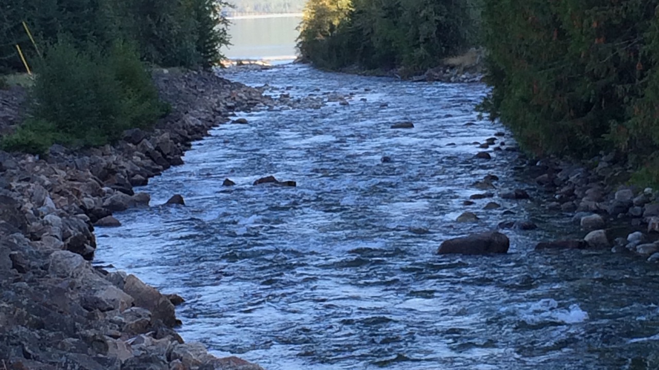 Photo of Others in Kaslo