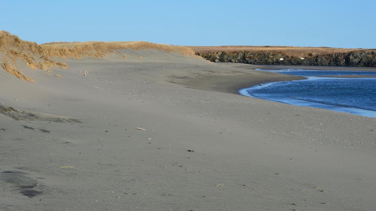 Photo of Others in Channel-Port aux Basques