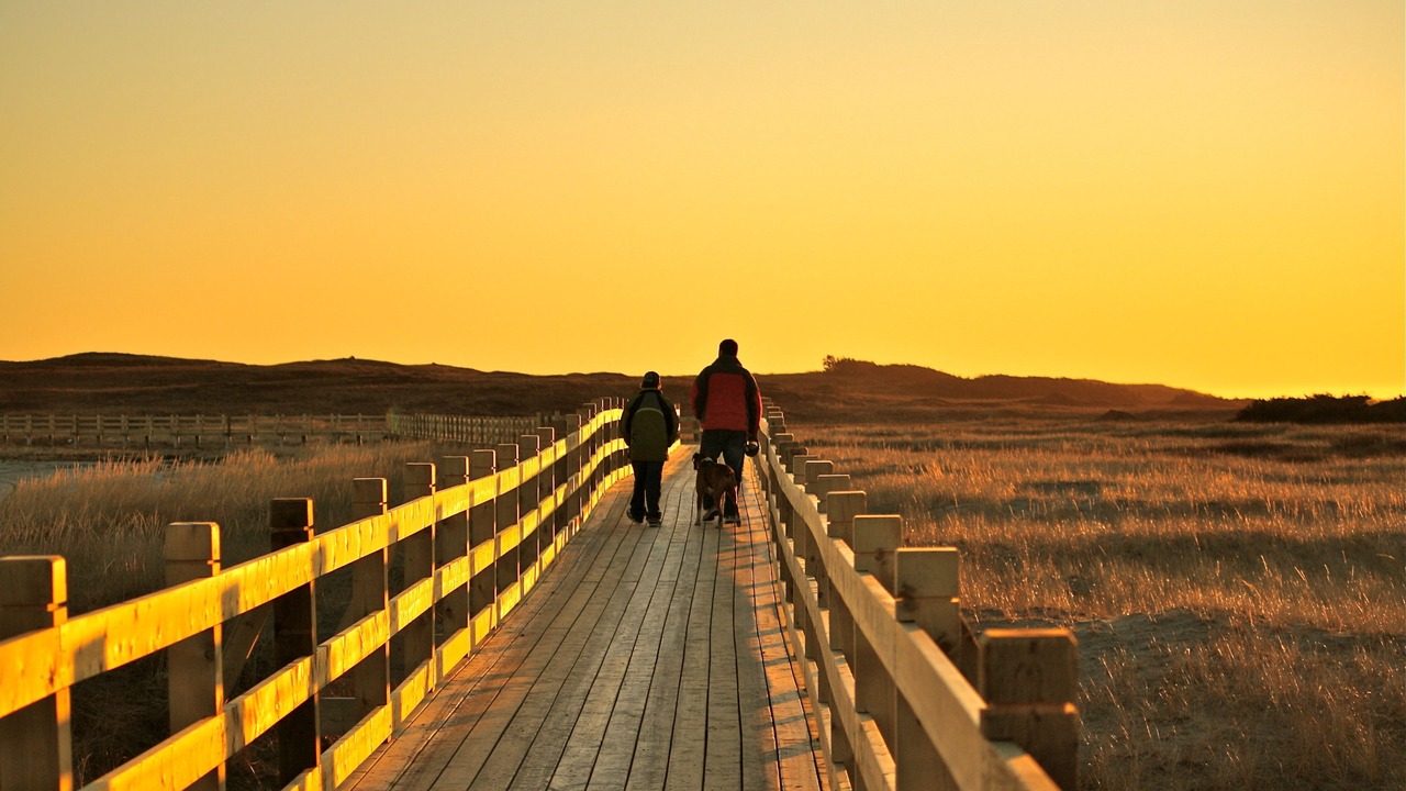 Photo of Outdoor in Channel-Port aux Basques