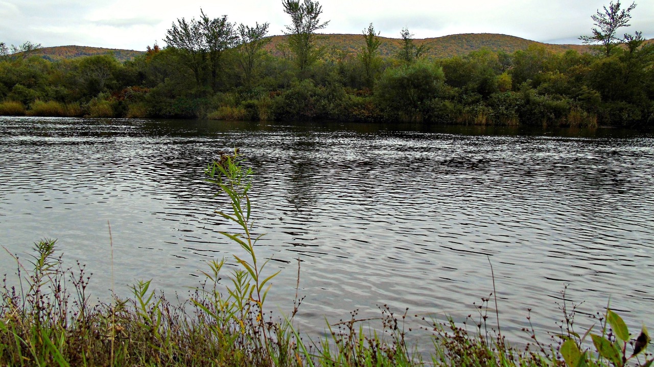 Photo of Outdoor in Margaree Forks