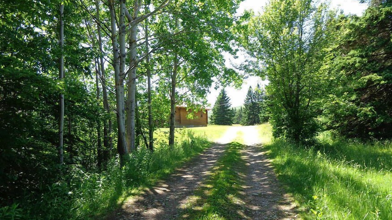 Photo of Outdoor in Margaree Forks