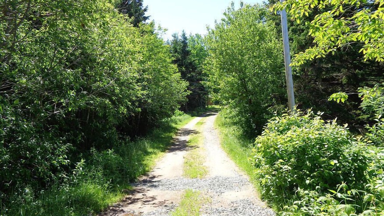 Photo of Outdoor in Margaree Forks