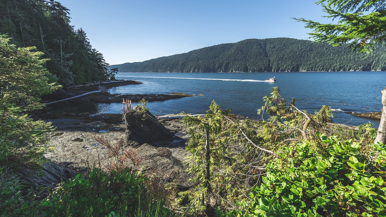 Photo of Others in Port Renfrew