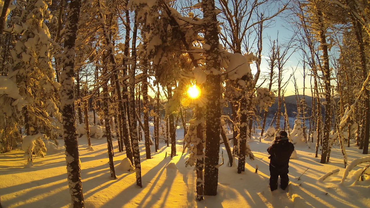 Photo of Others in Saint Donat