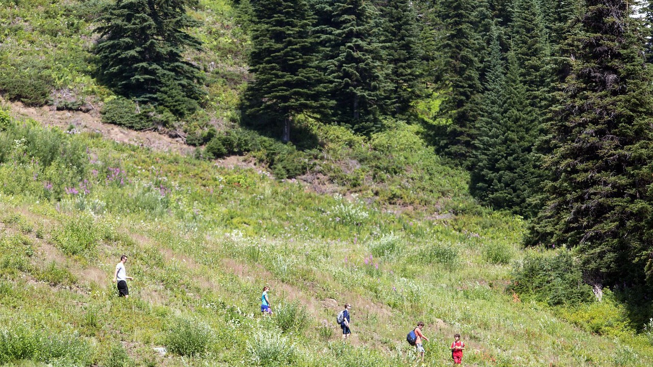 Photo of Outdoor in Silver Star Mountain