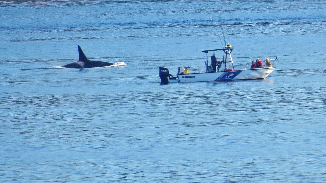 Photo of Others in Campbell River