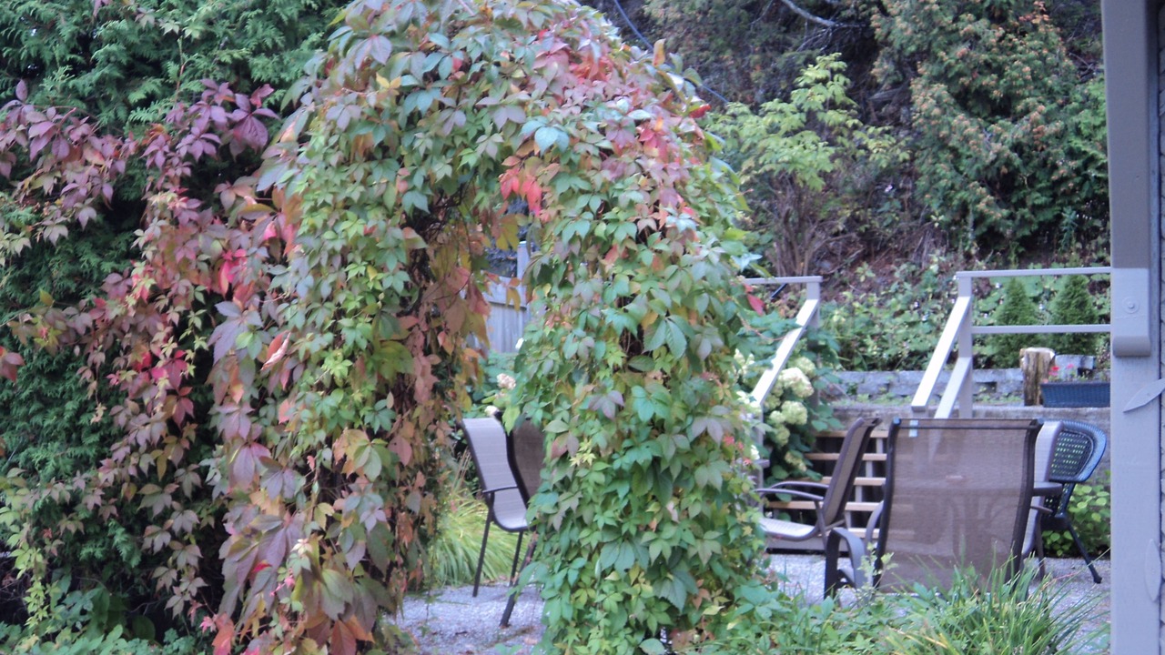 Photo of Outdoor in Notre-Dame-du-Portage