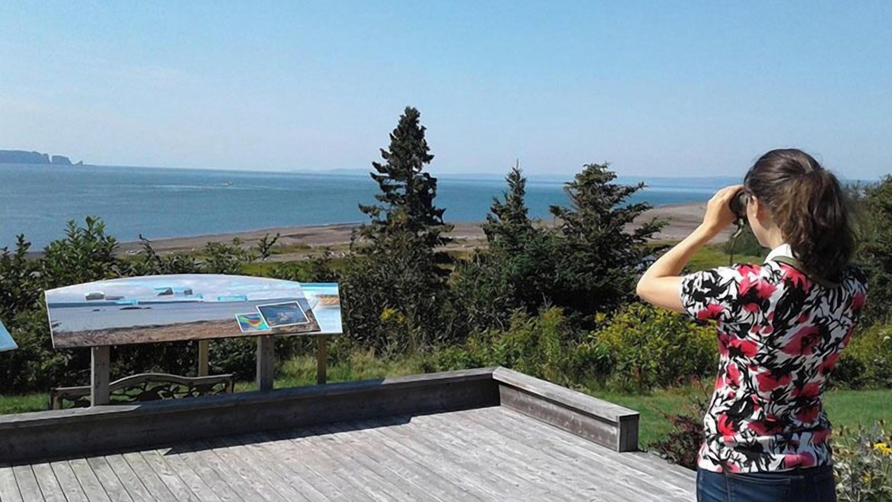 Photo of Others in Parrsboro