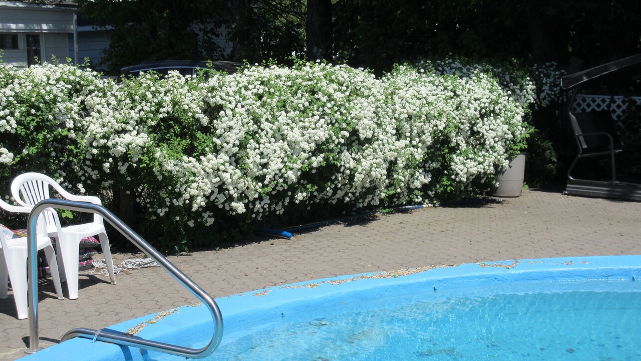 Photo of Outdoor in Mauricie