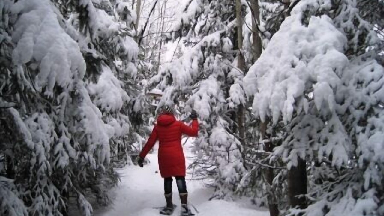 Photo of Others in Mauricie