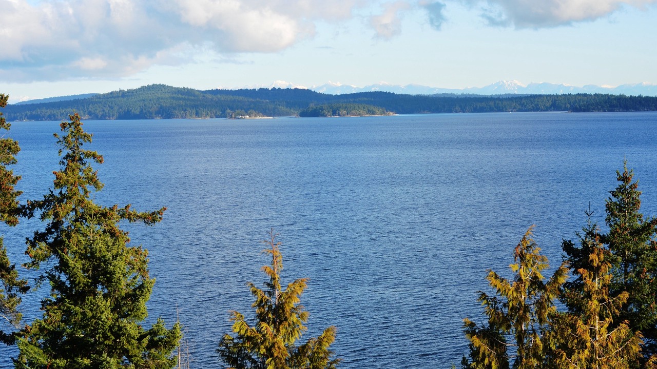 Photo of Others in Chemainus