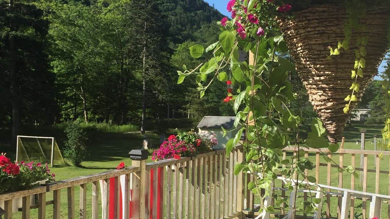 Photo of Outdoor in Margaree Valley