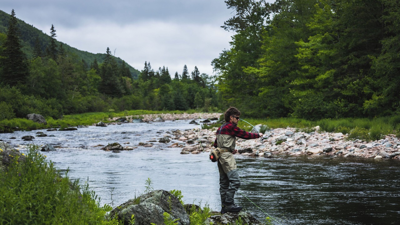 Photo of Outdoor in Margaree Valley