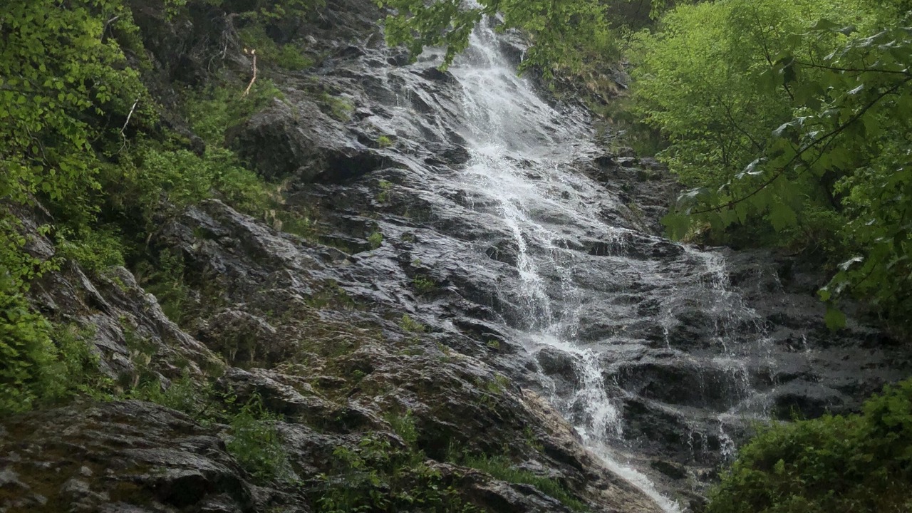 Photo of Outdoor in Margaree Valley
