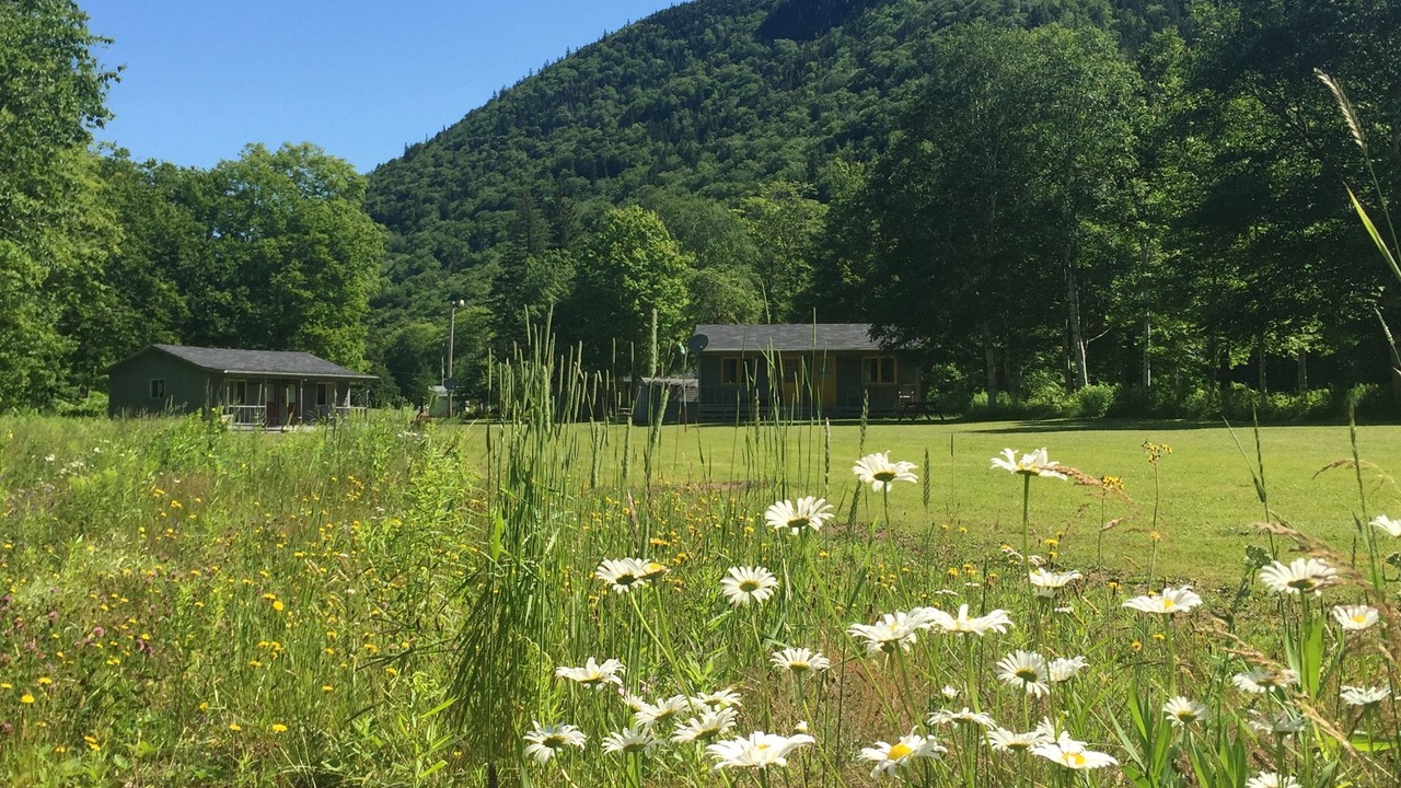 Photo of Outdoor in Margaree Valley
