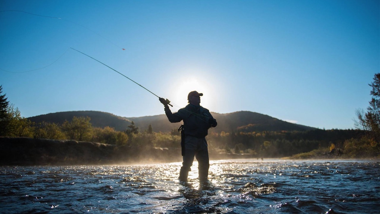 Photo of Others in Margaree Valley