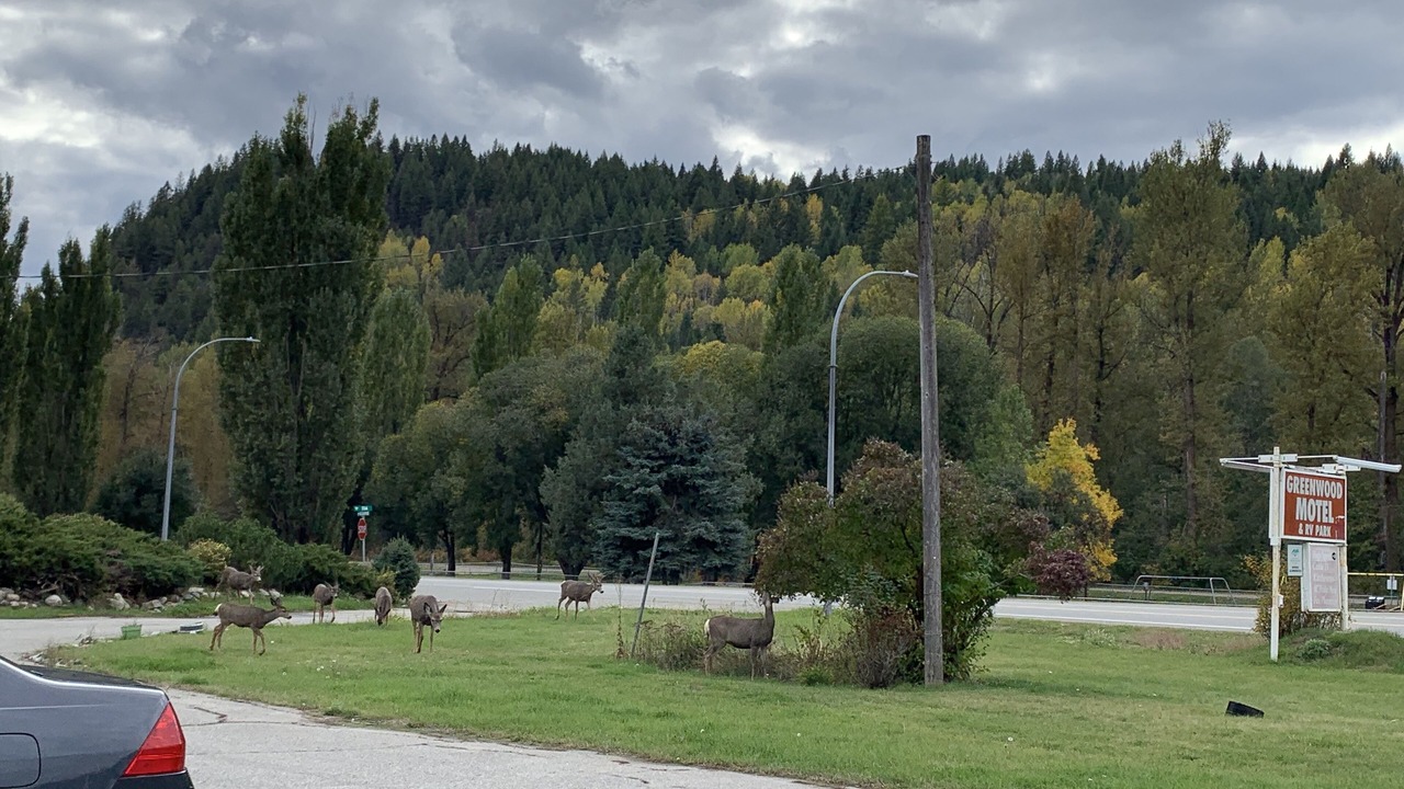 Photo of Outdoor in Greenwood