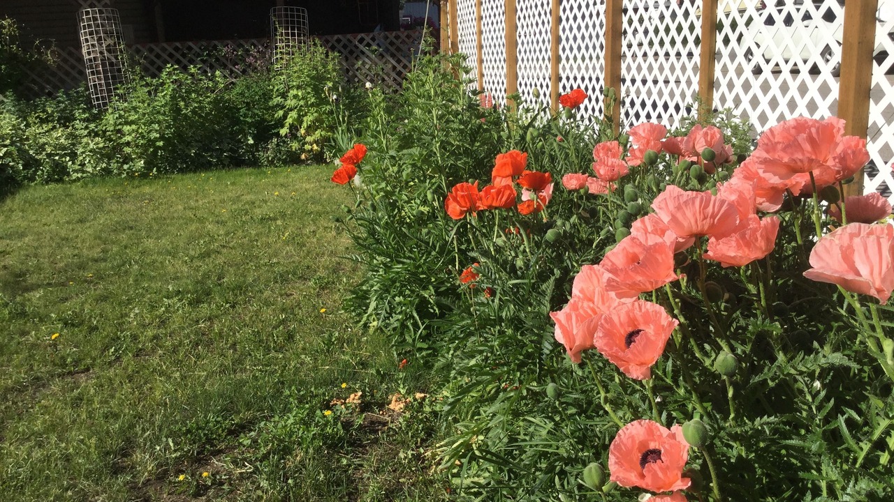 Photo of Outdoor in Okanagan-Similkameen