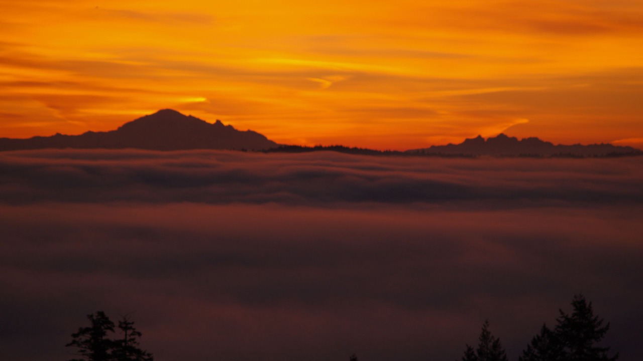 Photo of Others in Regional District of Nanaimo
