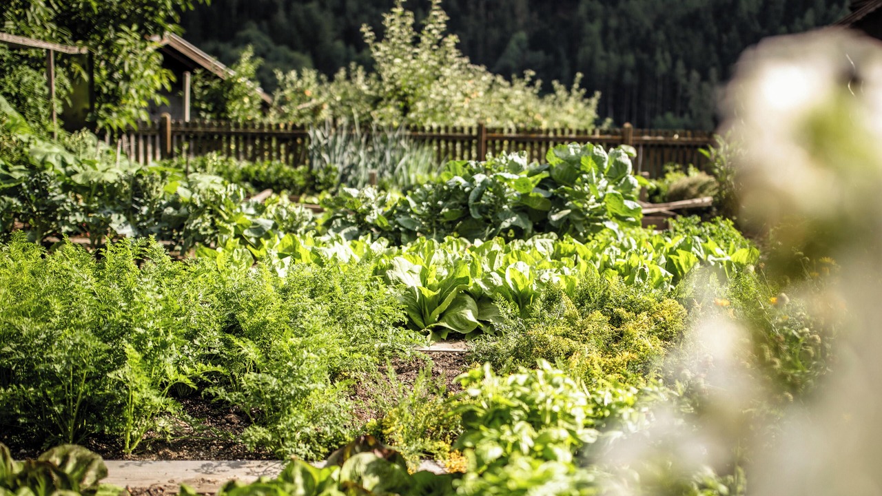 Photo of Outdoor in Vandoies