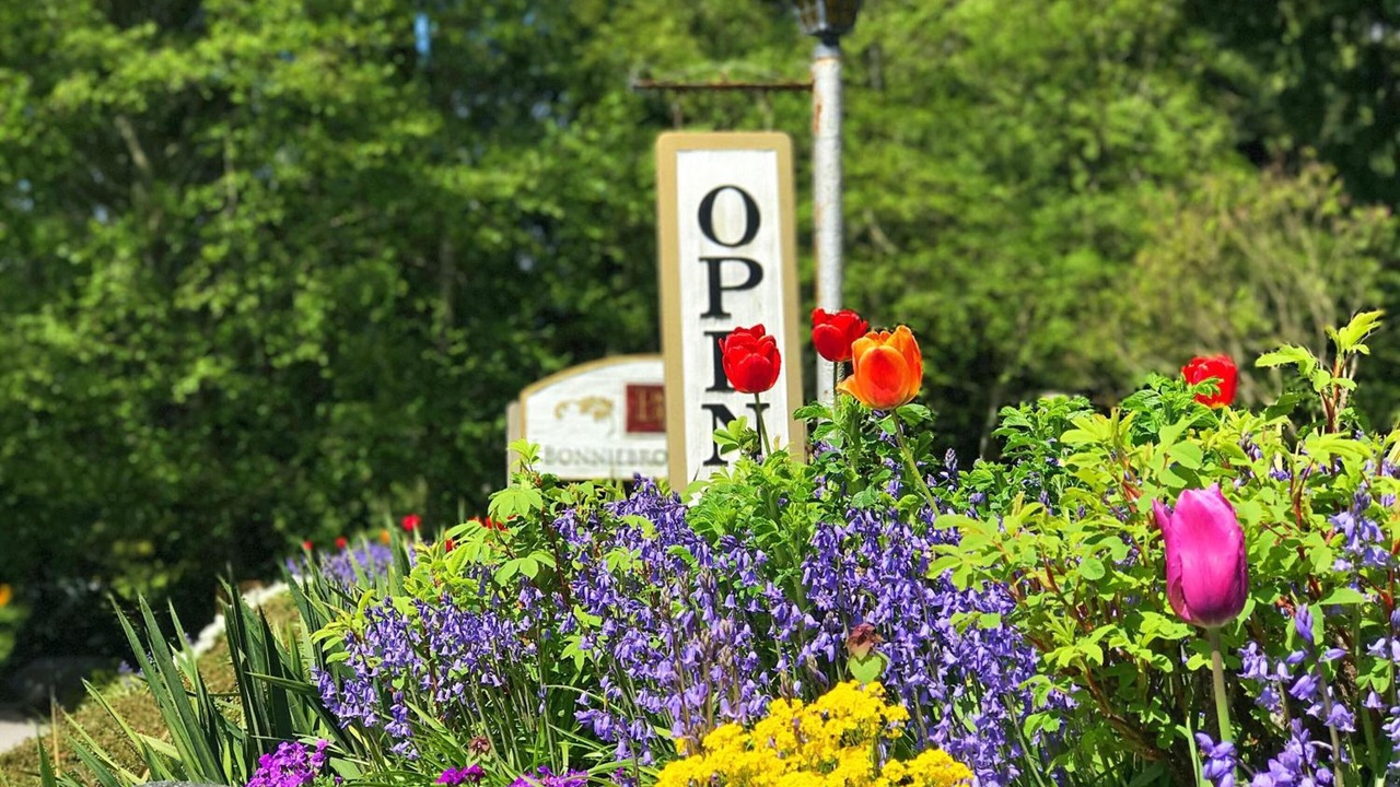 Photo of Outdoor in Gibsons