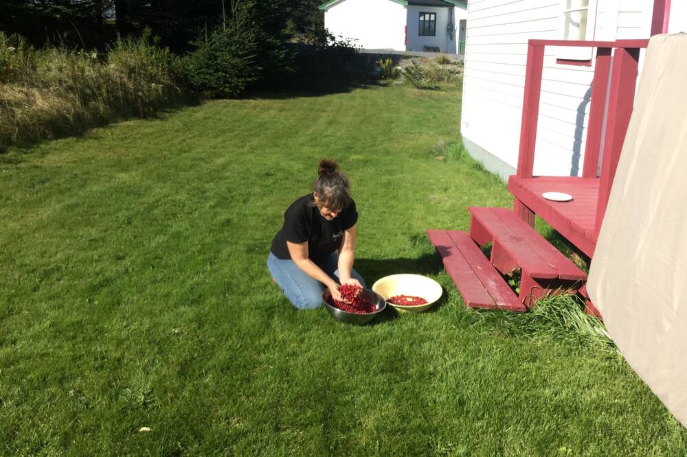 Photo of Outdoor in Elliston