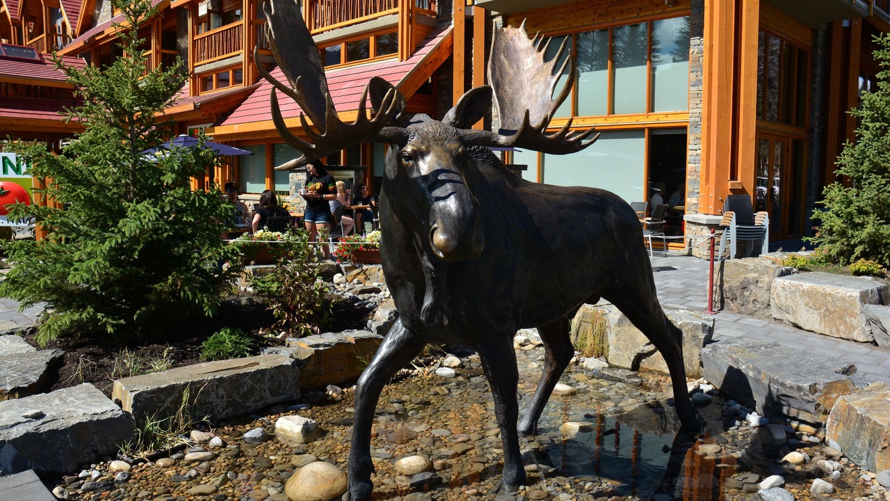 Photo of Outdoor in Banff