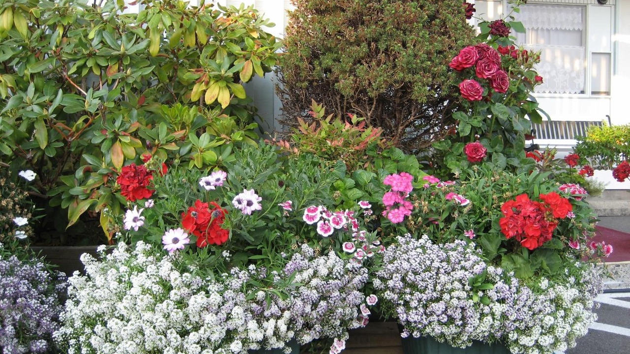 Photo of Outdoor in Hope