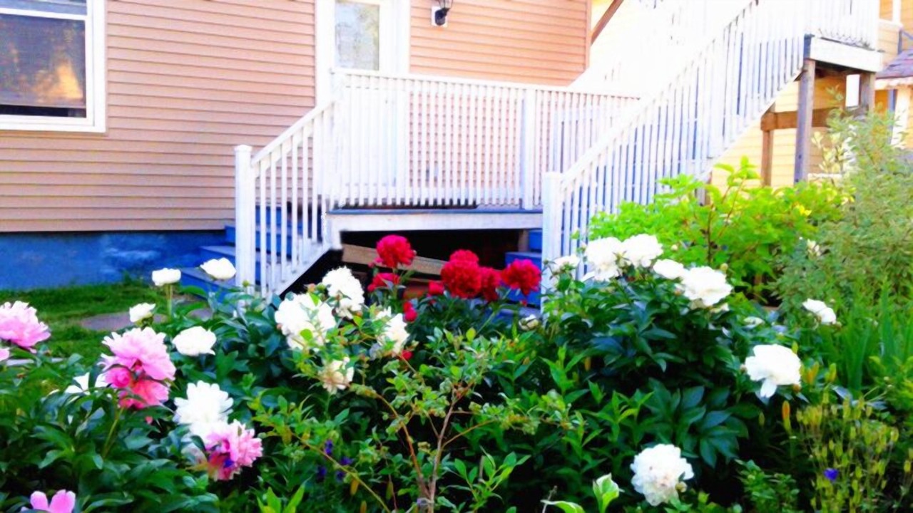 Photo of Outdoor in Moncton