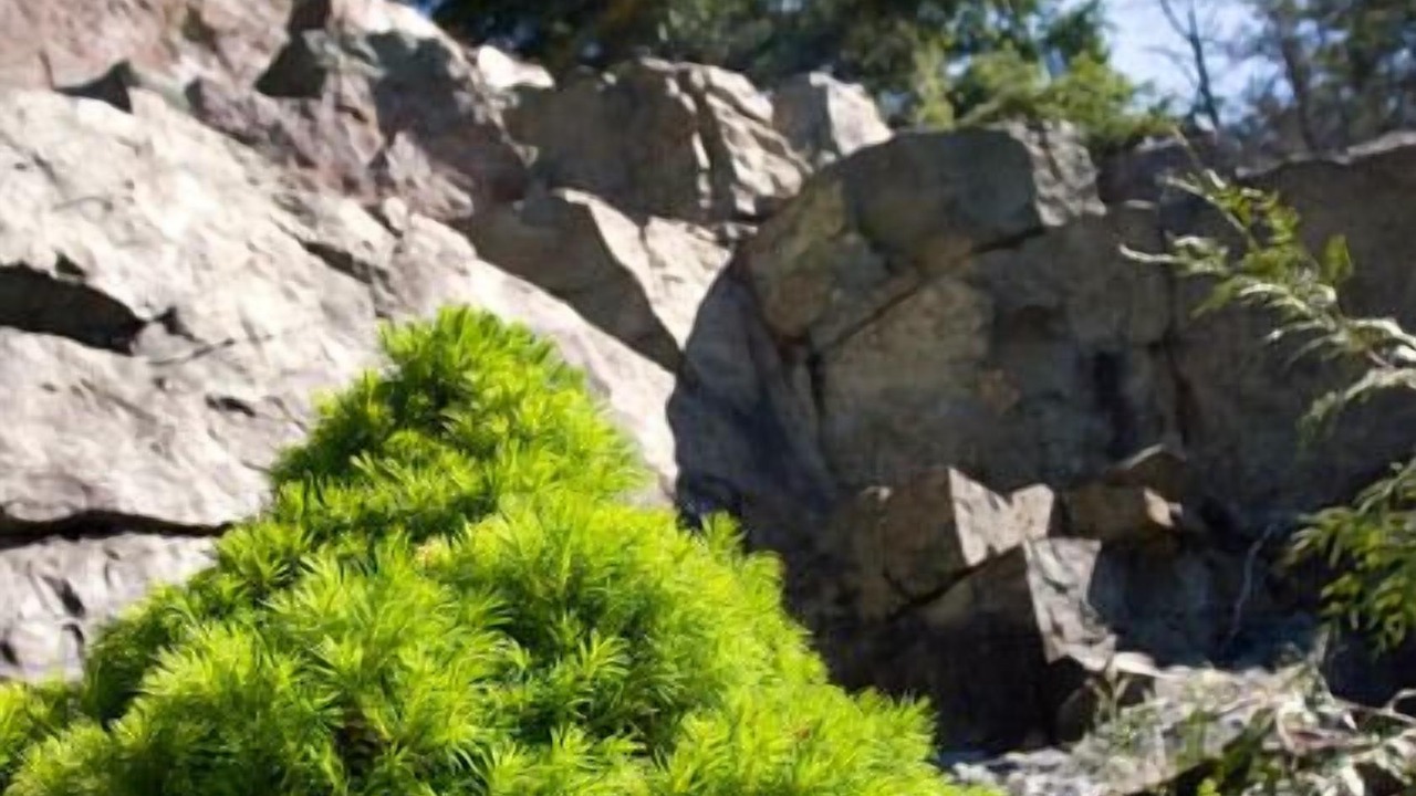 Photo of Outdoor in Regional District of Nanaimo